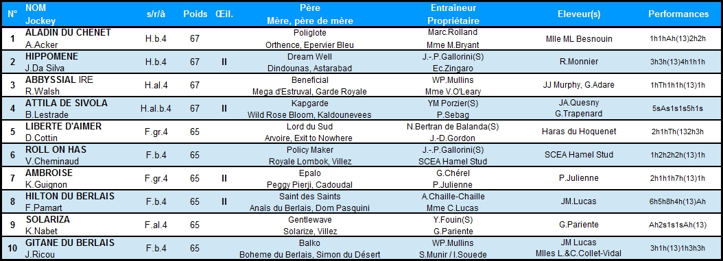 Prix Alain du Breil 2014 (H., Gr.I, Auteuil) 8-06 : Roll on has DuBreil2014