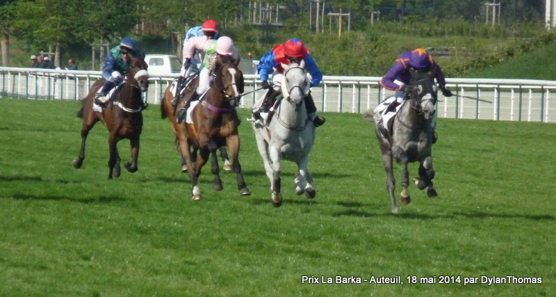 Prix La Barka 2014 (H., Gr.II, Auteuil) 18-05 : Thousand stars LaBarka3